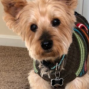 Meet your Posher, Stephanie